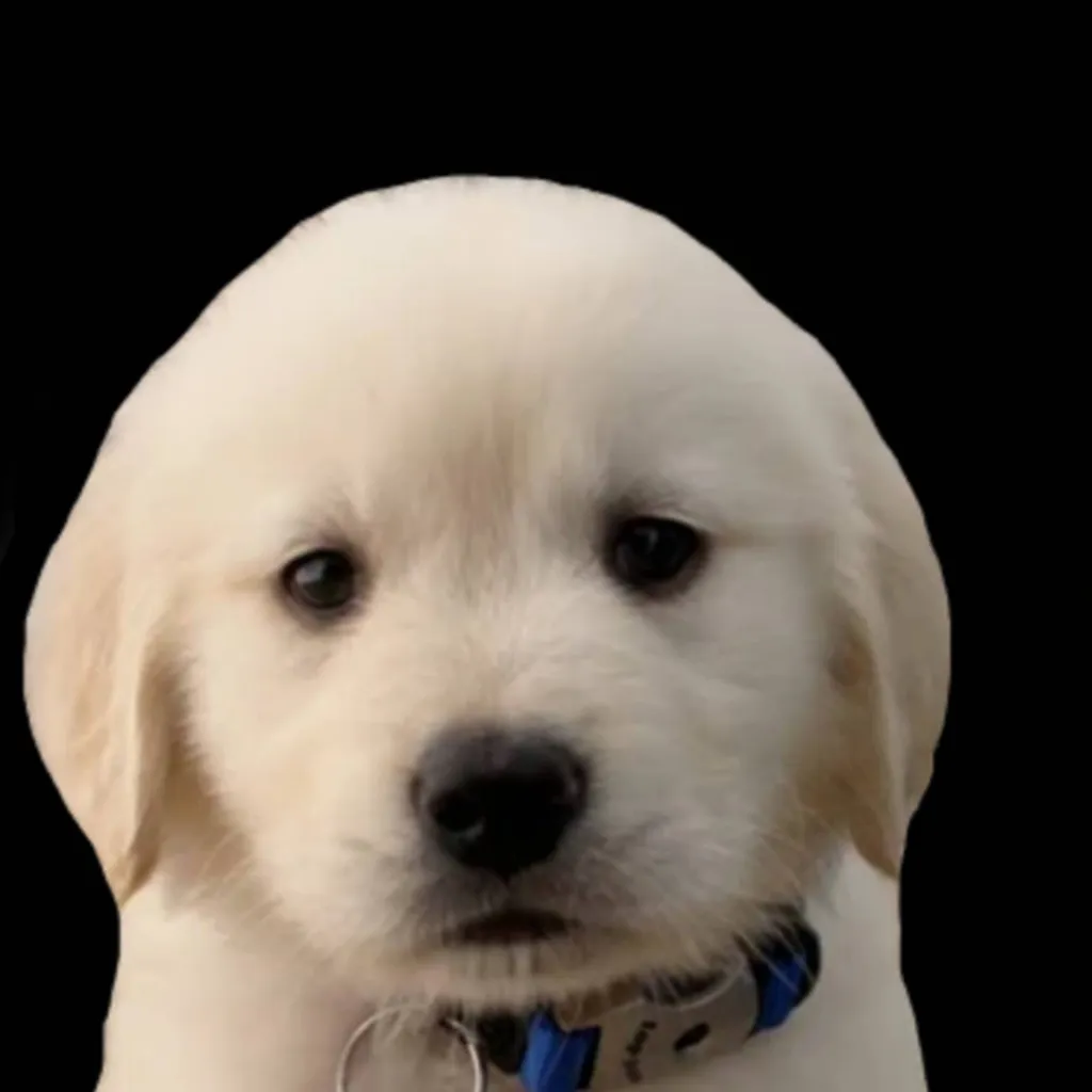 chat with ai character: baldi's basics and