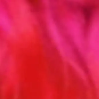 chat with ai character: forsak and poppy p