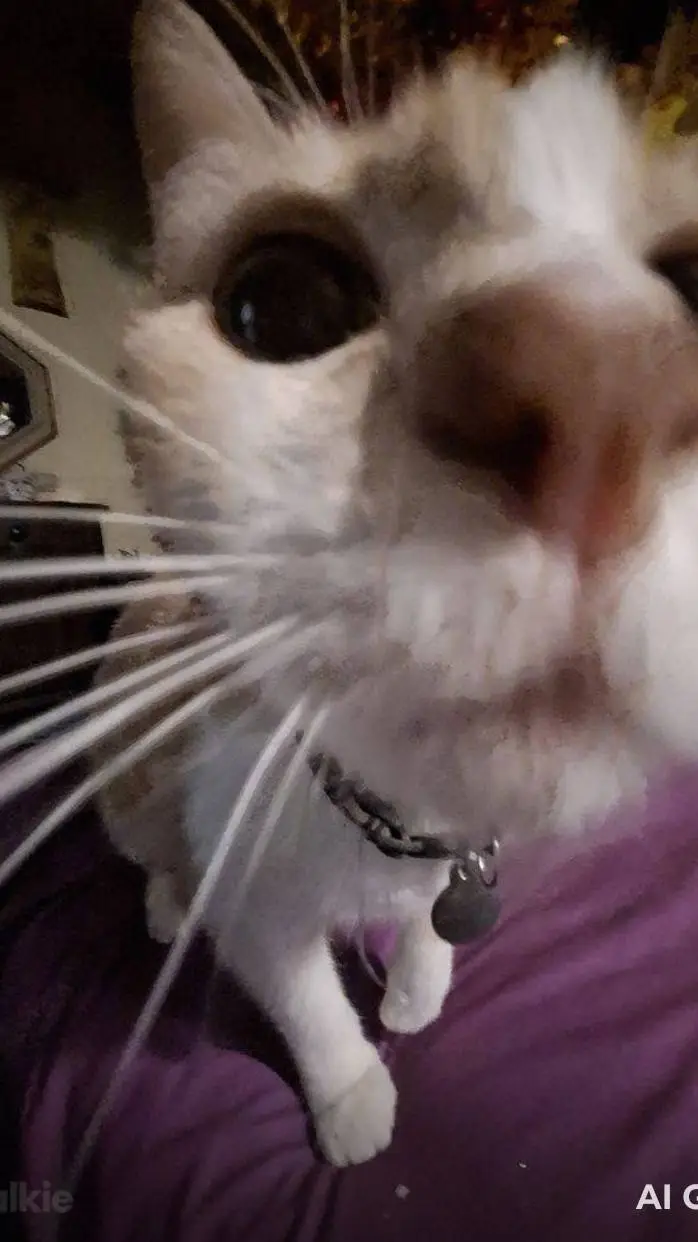 ai character: your numbers up background