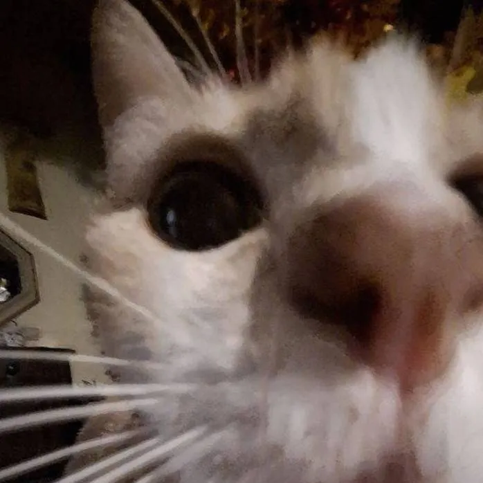 chat with ai character: your numbers up