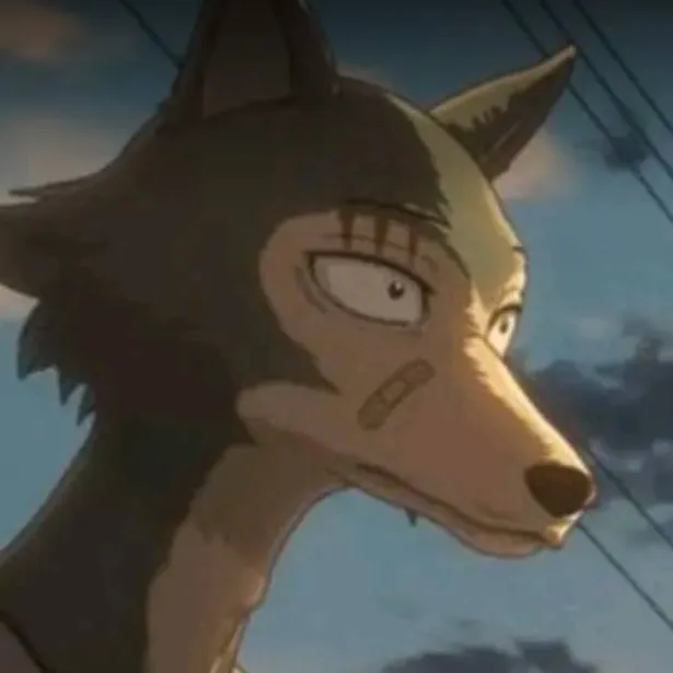 chat with ai character: 💫/Legoshi/🐺