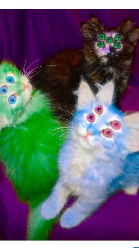 ai character: 🤪/Charlie/🎉 background