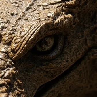 chat with ai character: WoF DoD