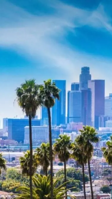 ai character: Sunset Wanderer background