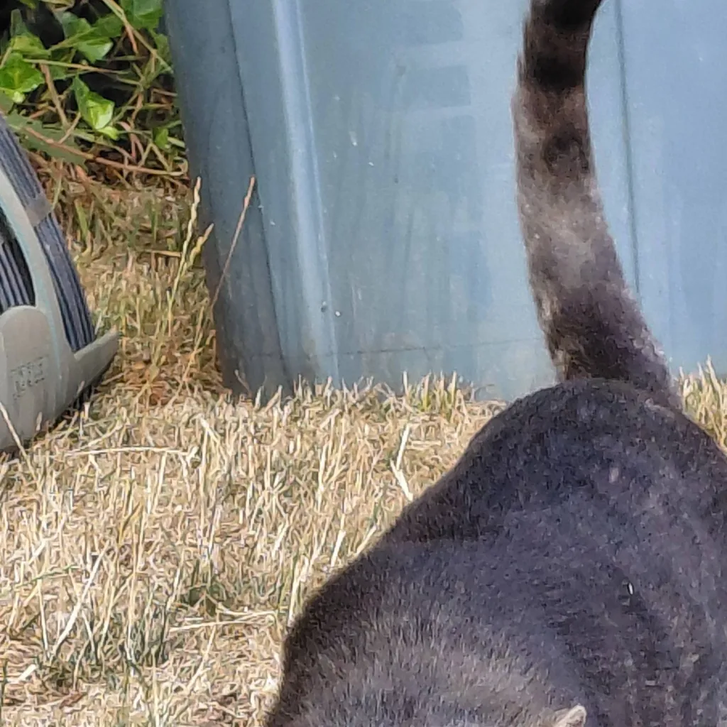 chat with ai character: Molly girl✨✨✨ 