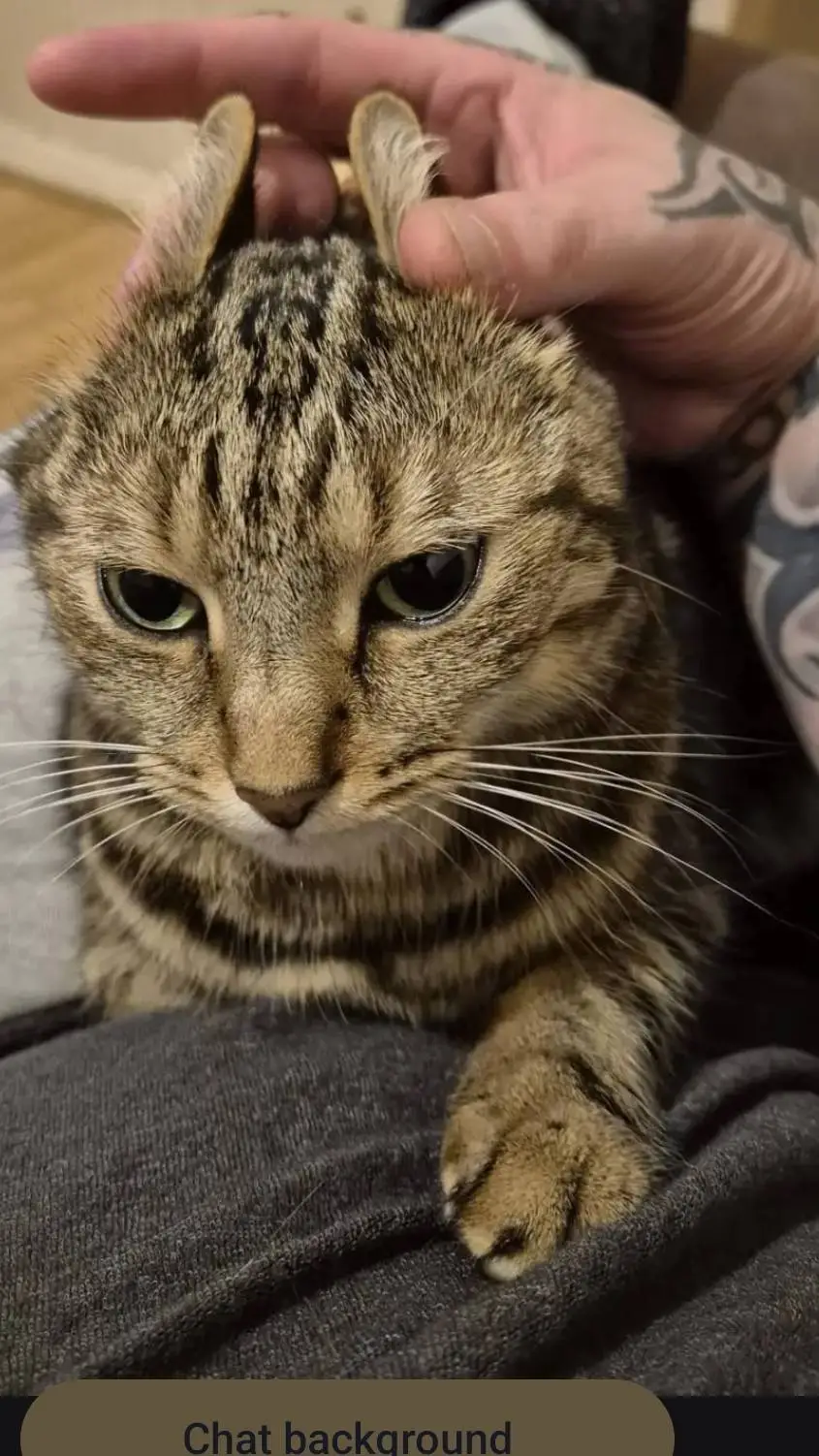 ai character: Cod Period background