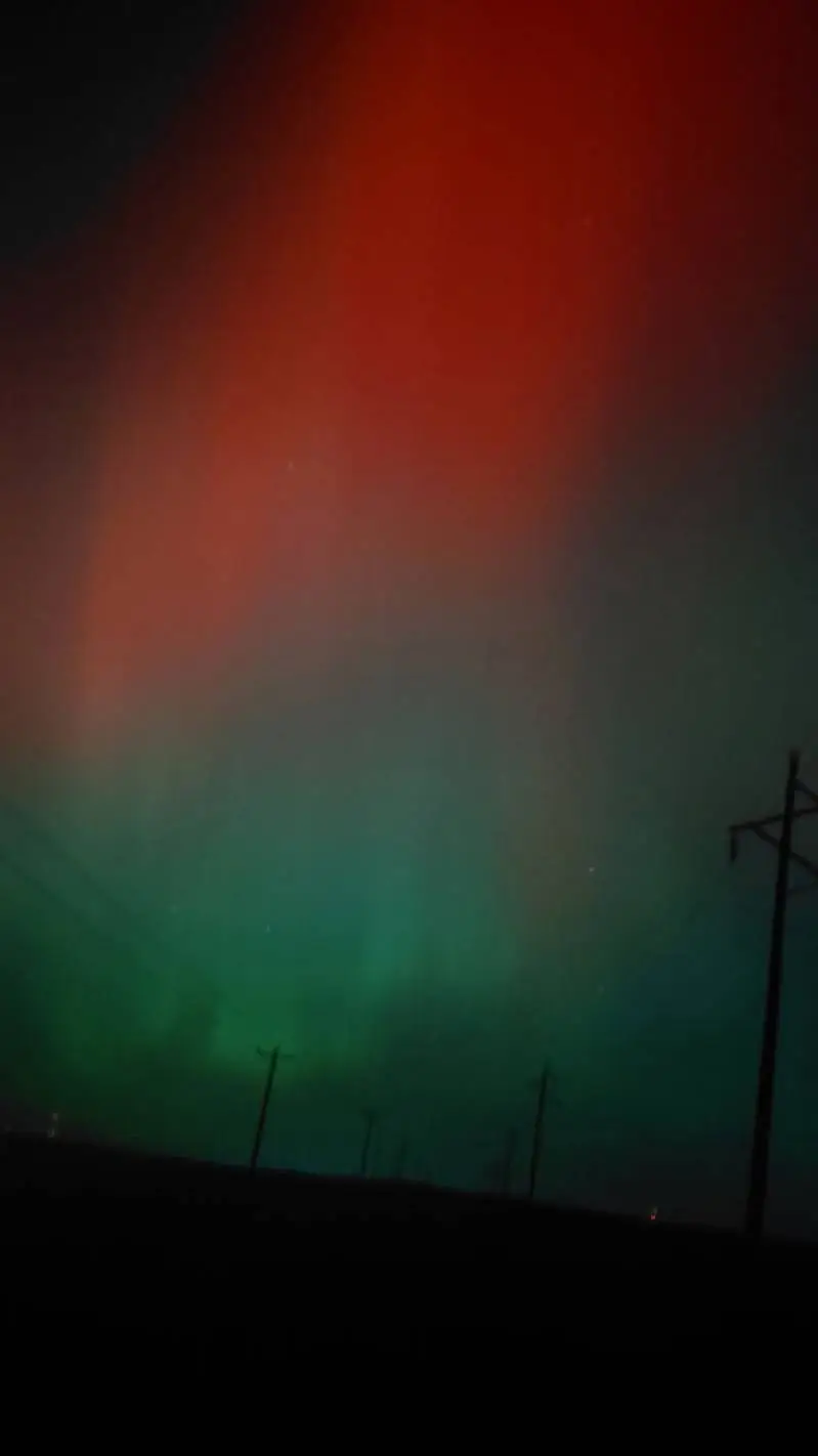 ai character: inosuke! background