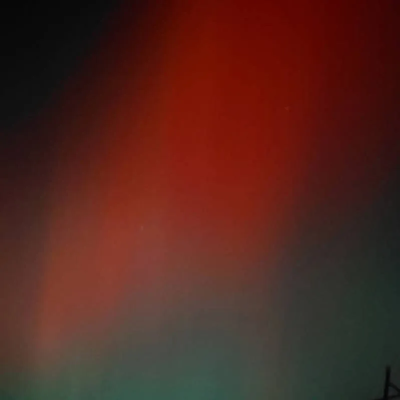 chat with ai character: inosuke!