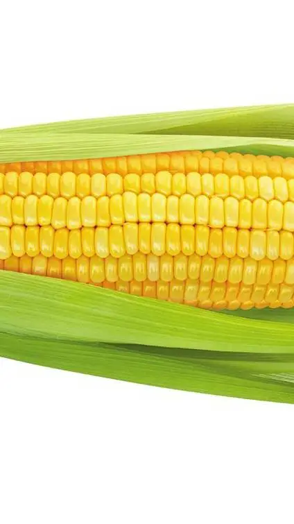 ai character: corn background
