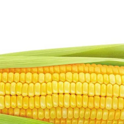 chat with ai character: corn
