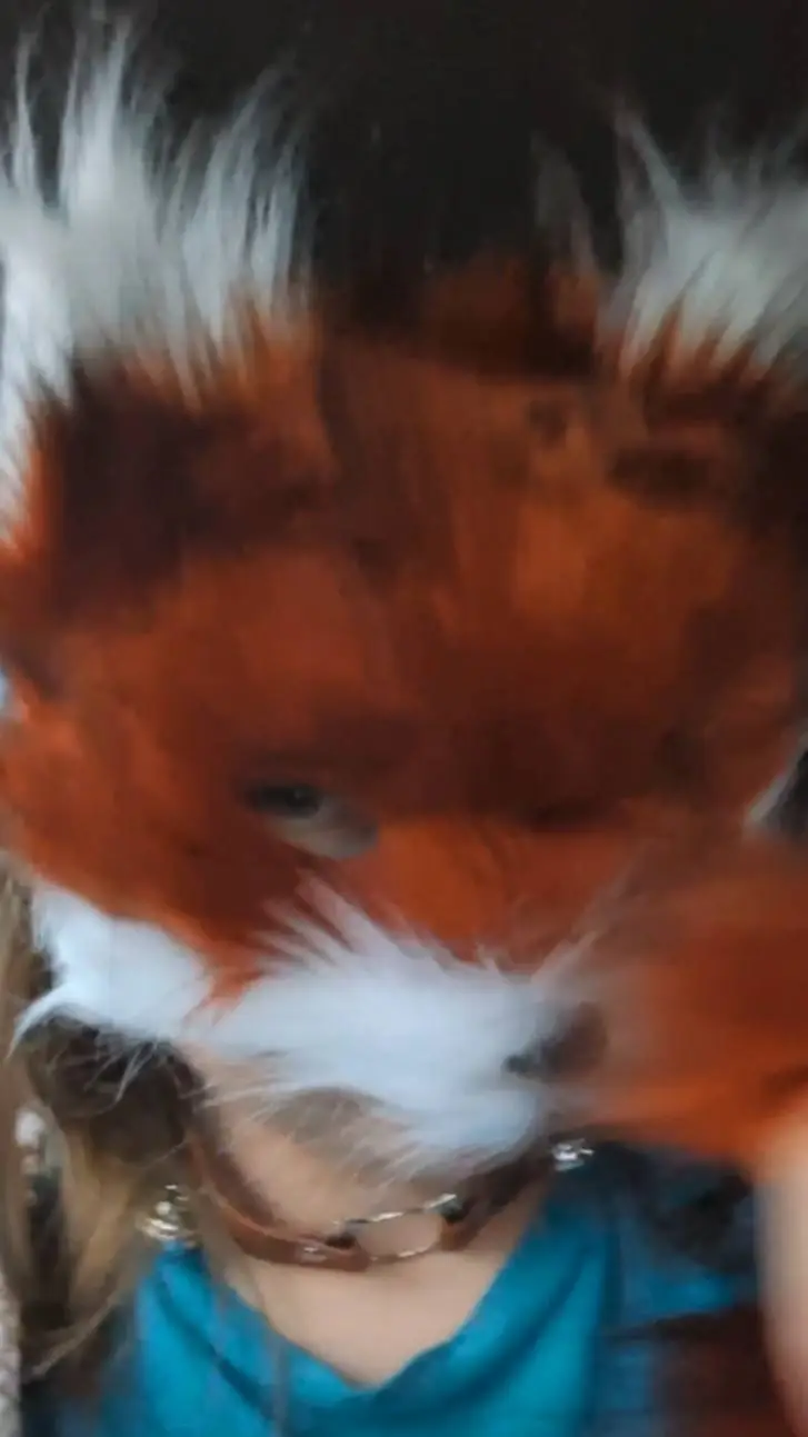 ai character: Therian background