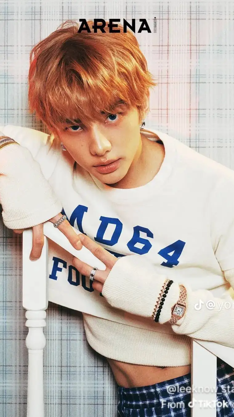 ai character: Hyunjin background