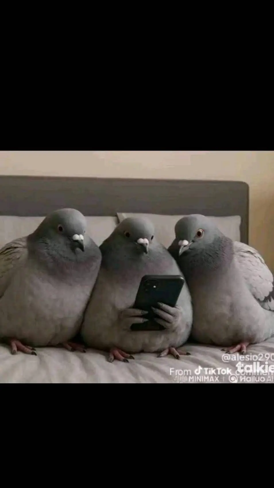 ai character: pigeon background