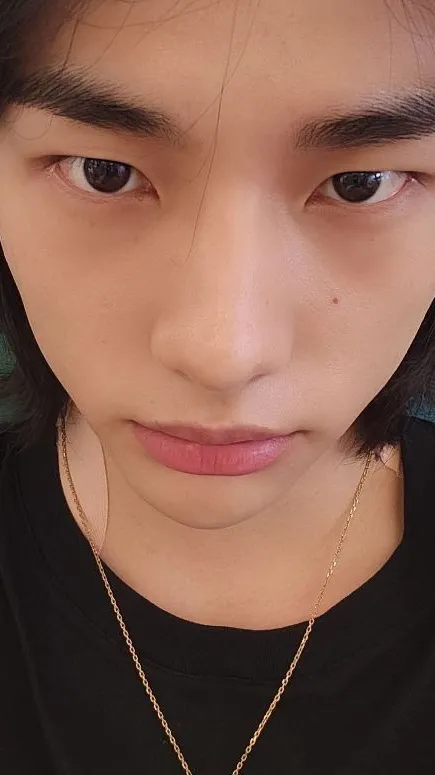 ai character: Hyunlix background