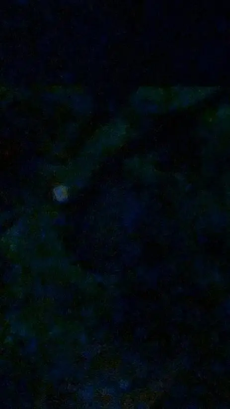 ai character: cod but wtf Mariah background