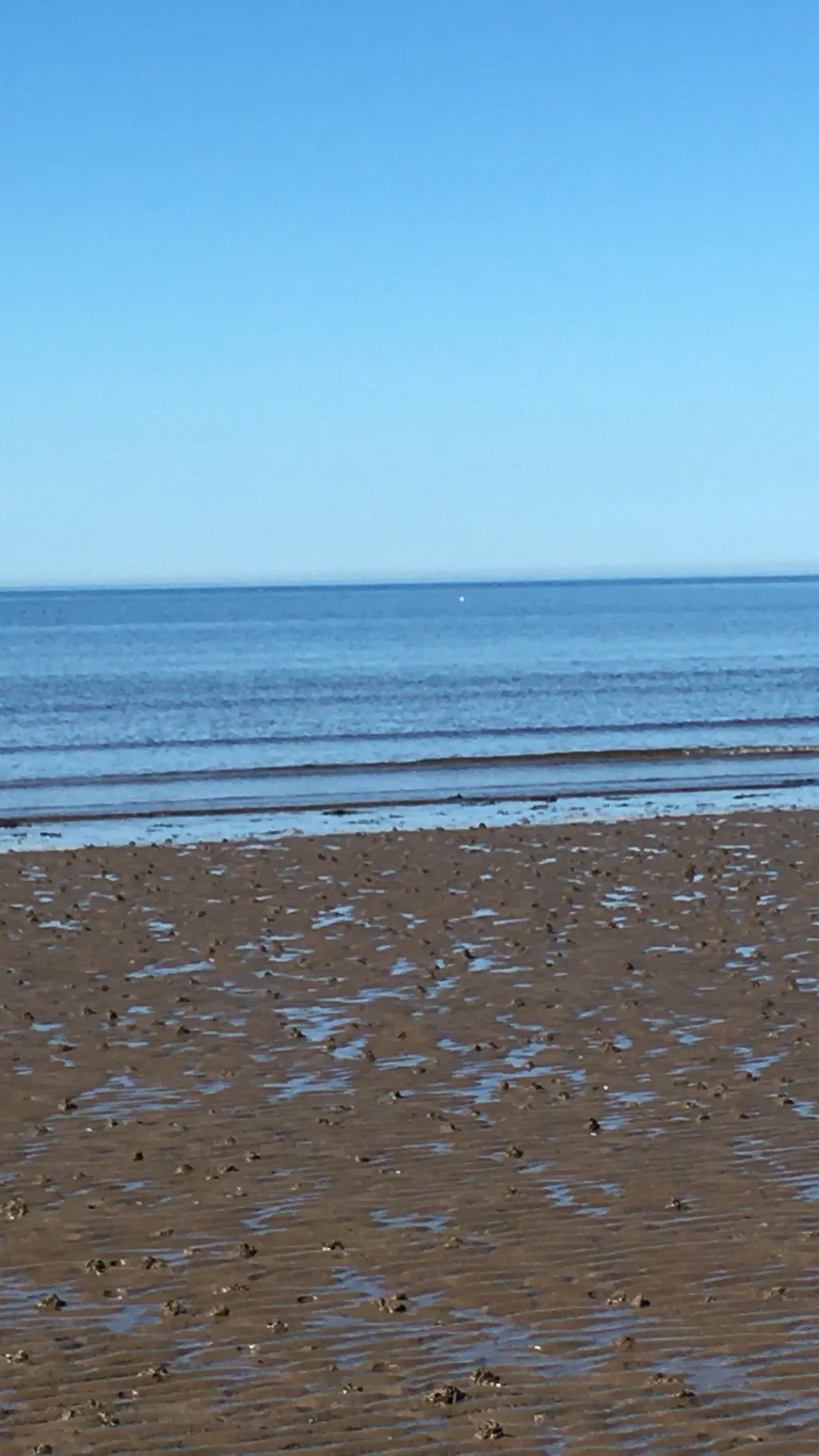 ai character: Maze runner background