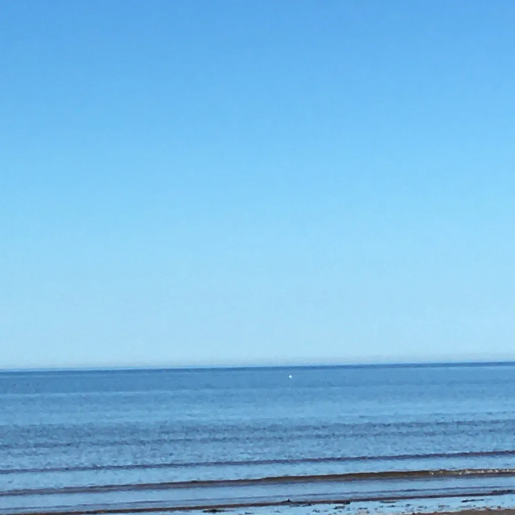 chat with ai character: Maze runner