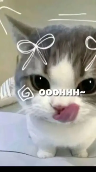 ai character: cat background