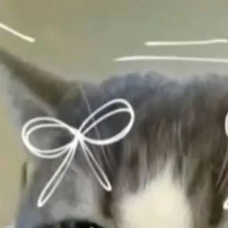 chat with ai character: cat