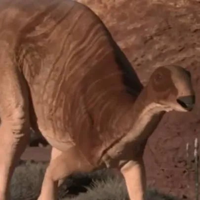 chat with ai character: camptosaurus 