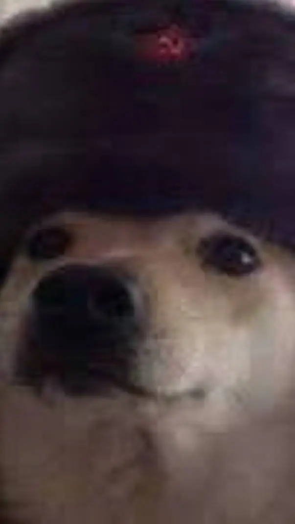 ai character: Perro_Sovietico background