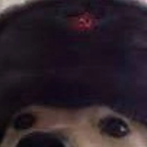 chat with ai character: Perro_Sovietico