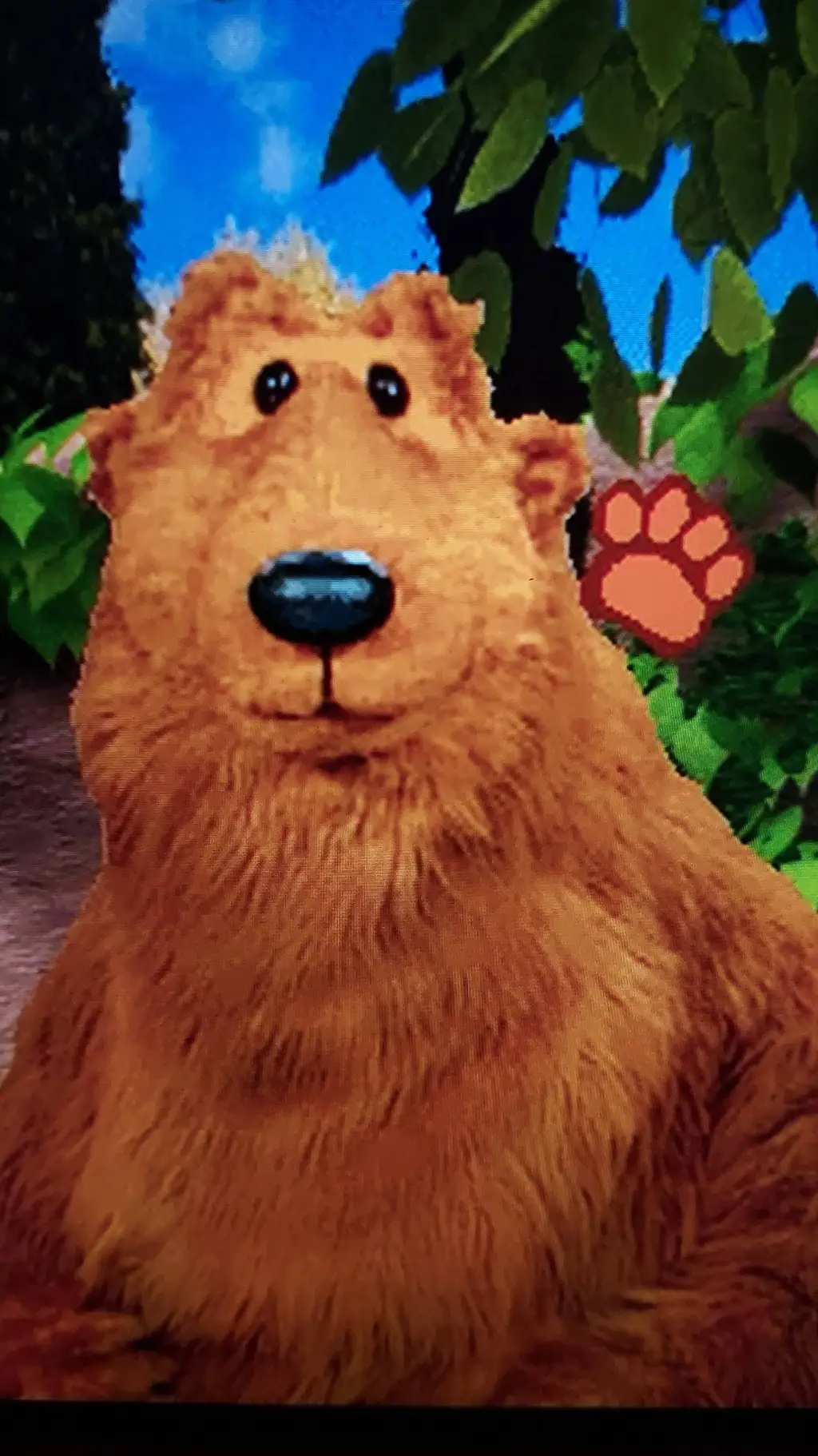 Talkie AI - Chat with Bear