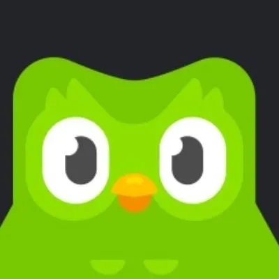 chat with ai character: Duolingo
