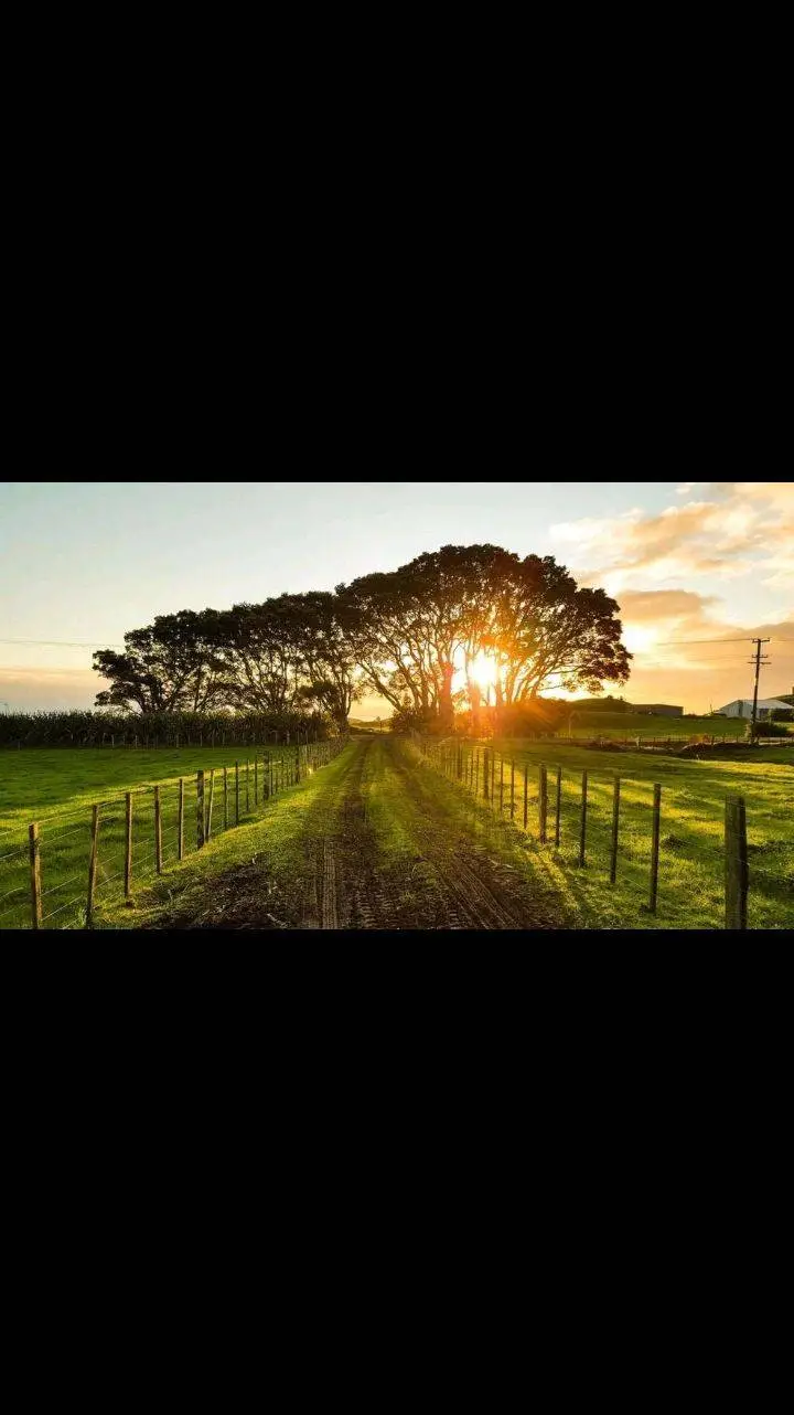 ai character: Zhu yuan & KV44  background