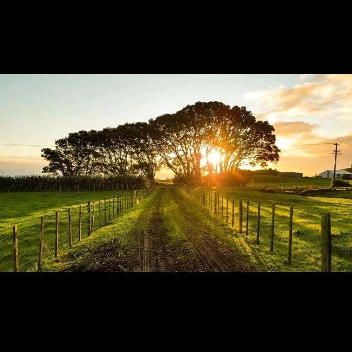 chat with ai character: Zhu yuan & KV44 