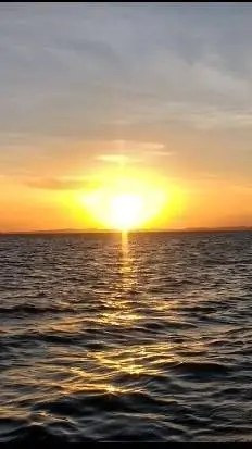 ai character: Amor en la guerra. background