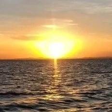 chat with ai character: Amor en la guerra.