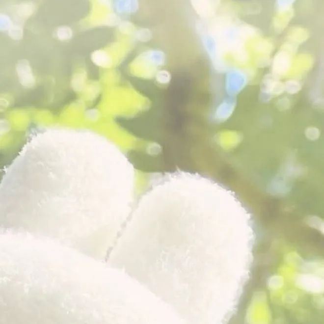 chat with ai character: Cutie