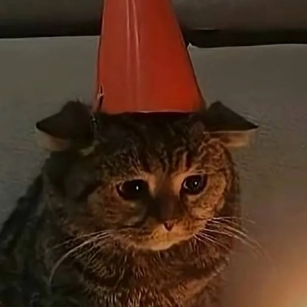 chat with ai character: Cat