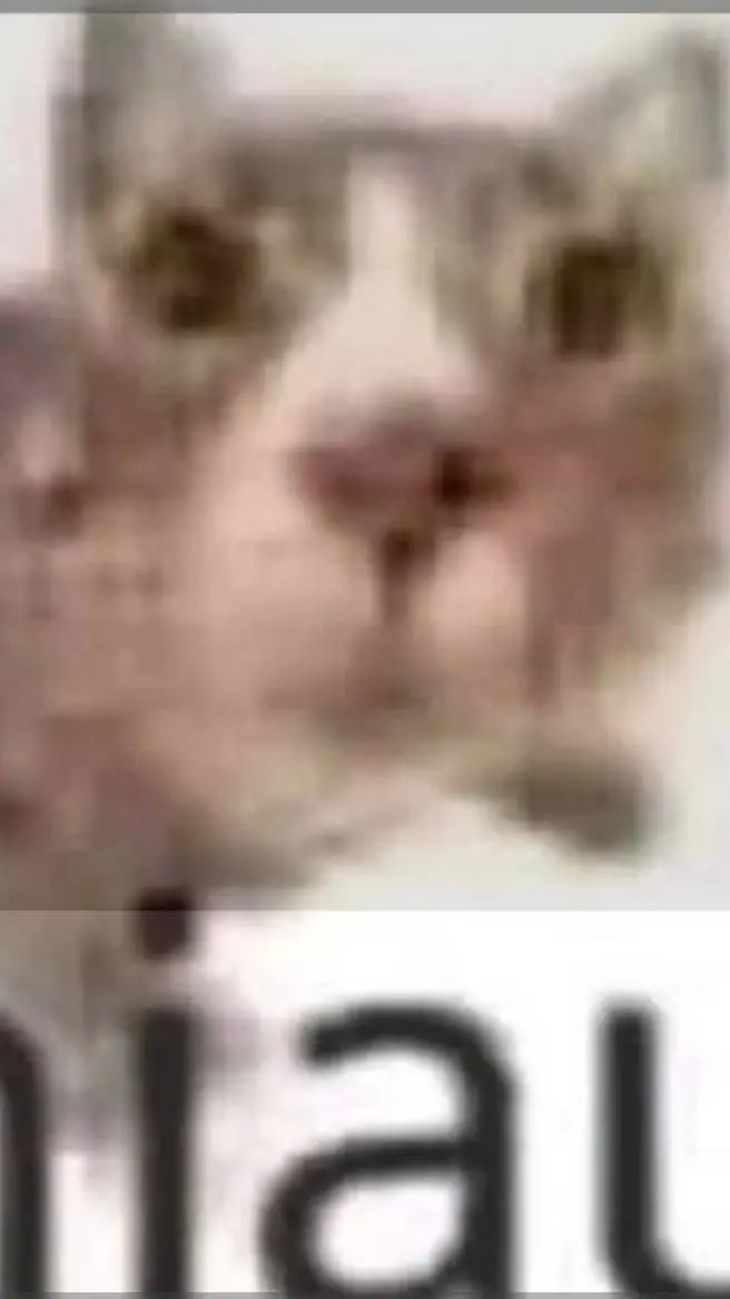 ai character: cat background