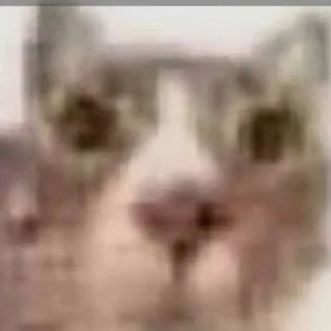 chat with ai character: cat
