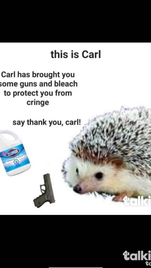 ai character: carl background