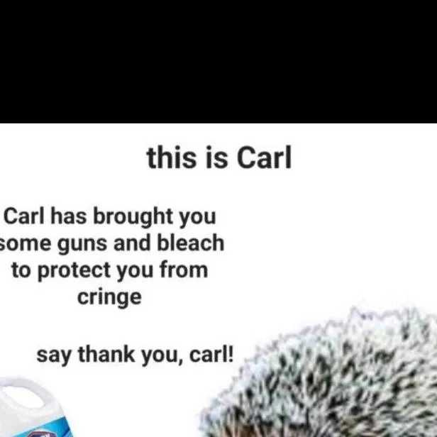 chat with ai character: carl