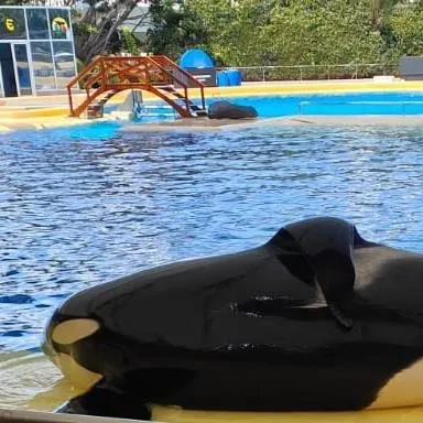 chat with ai character: MHA bf gf 