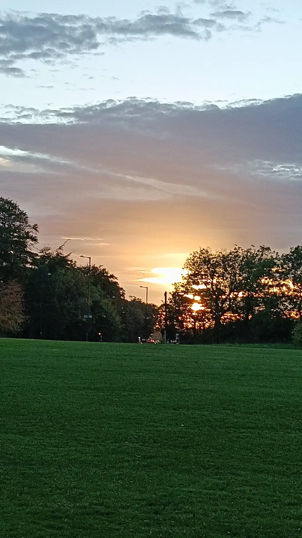 ai character: mha valentine'sday background