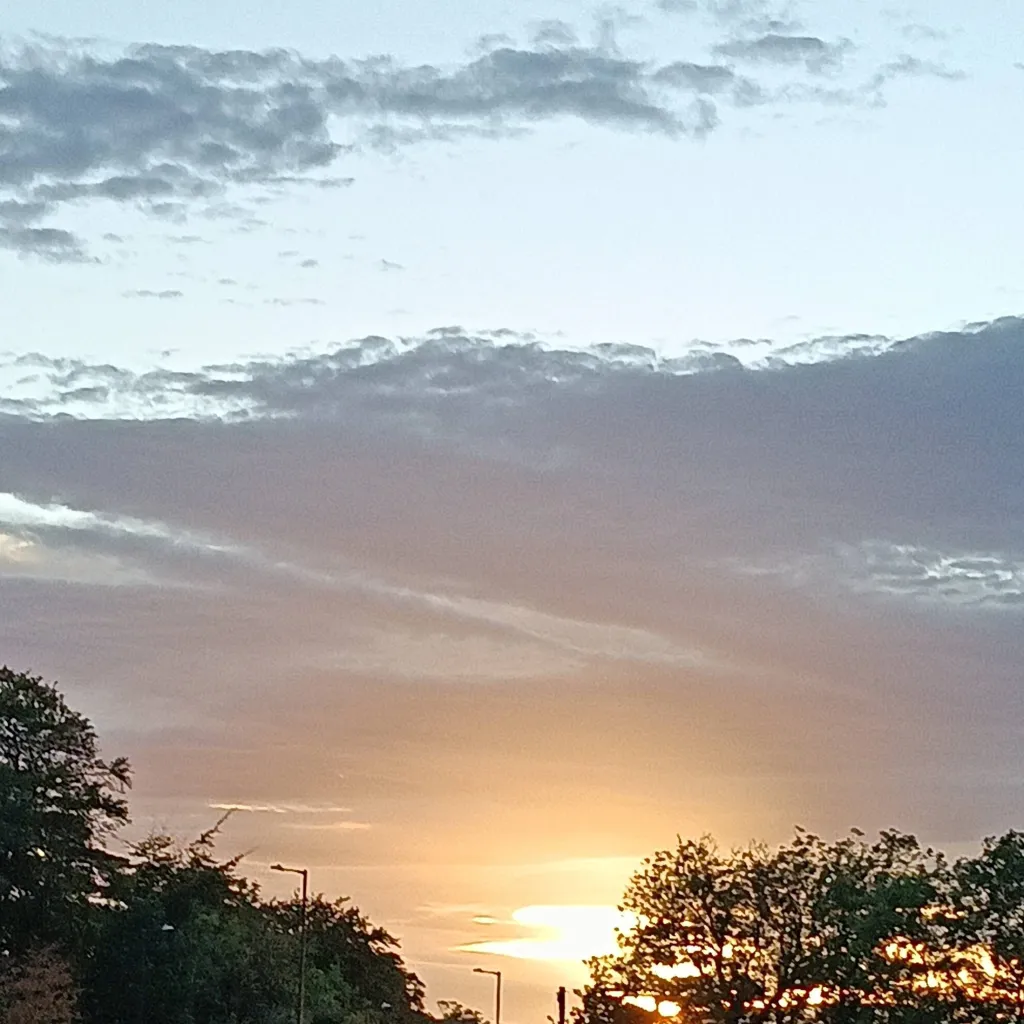 chat with ai character: mha valentine'sday