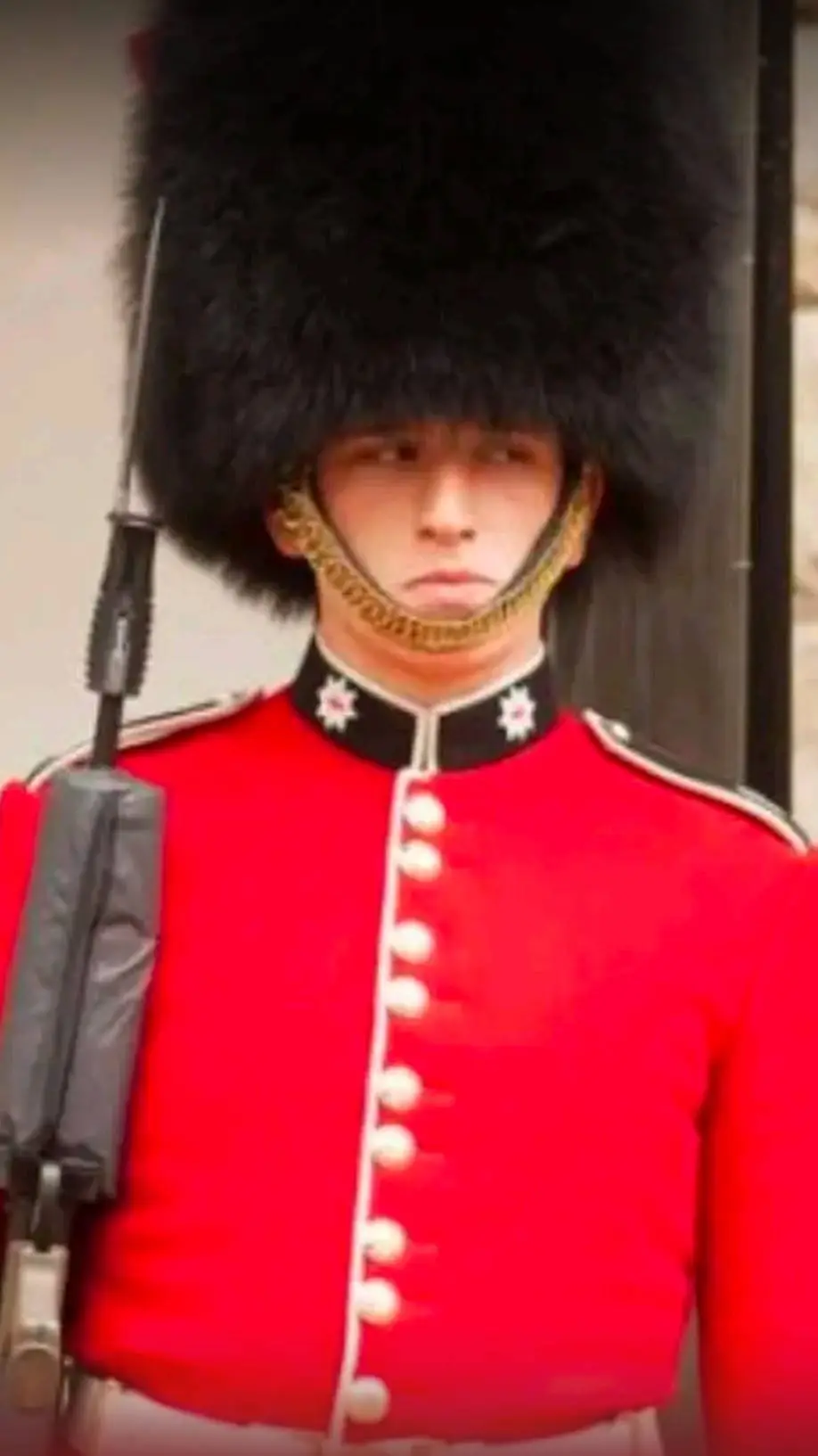 ai character: A Royal guard background