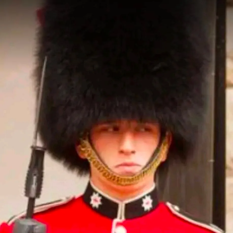 chat with ai character: A Royal guard