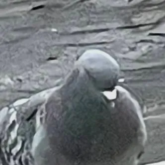 chat with ai character: Patient bob