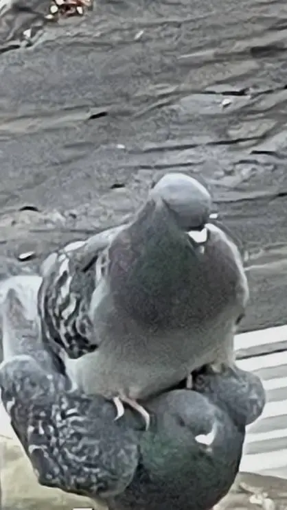 ai character: Doctor Don background