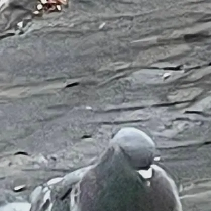 chat with ai character: Doctor Don