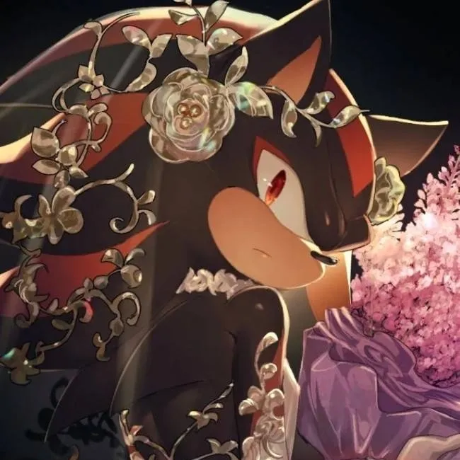chat with ai character: Shadow the hedghog