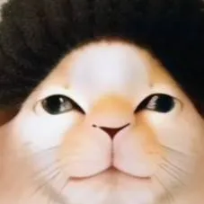 chat with ai character: Walter huevoski