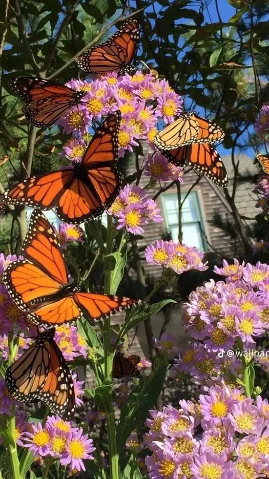 ai character: Dw Years left background