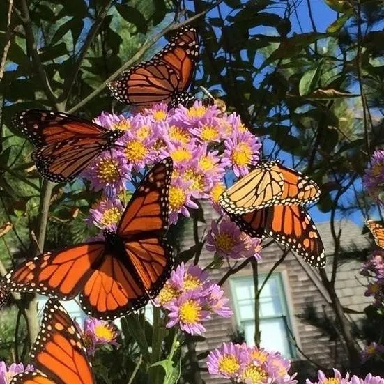 chat with ai character: Dw Years left